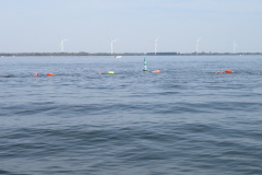 Hollandsdiep-zwemtocht-2023-00013