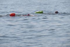 Hollandsdiep-zwemtocht-2023-00018