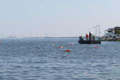 Hollandsdiep-zwemtocht-2023-00035