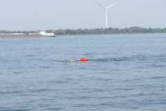 Hollandsdiep-zwemtocht-2023-00065