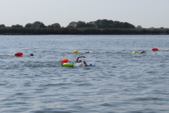 Hollandsdiep-zwemtocht-2023-00115