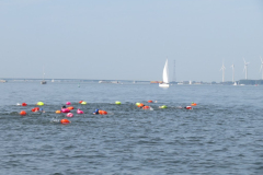 Hollandsdiep-zwemtocht-2023-00291