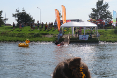 Hollandsdiep-zwemtocht-2023-00294
