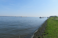Hollandsdiep-zwemtocht-2023-00295