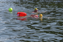 Hollandsdiep-zwemtocht-2023-00299